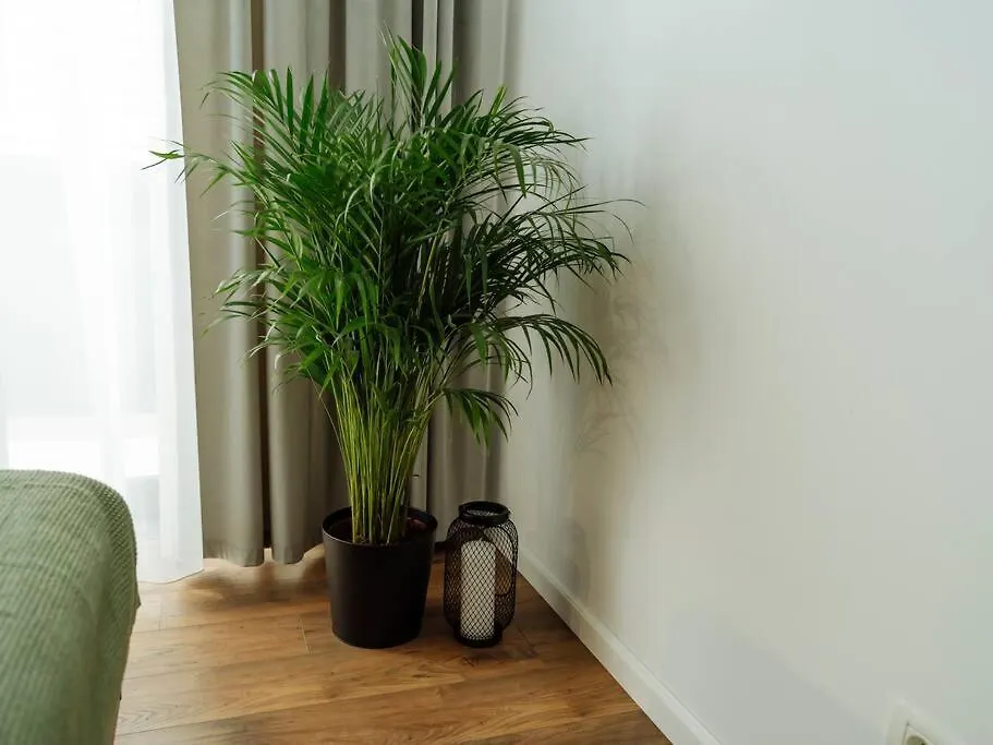 Central 1 Apartment - New Building & Parking Bucharest